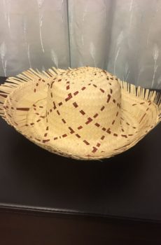 Hat brown stripes